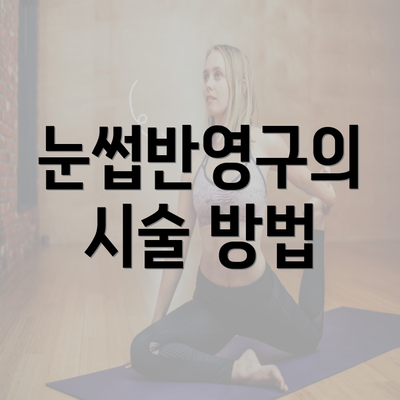 눈썹반영구의 시술 방법