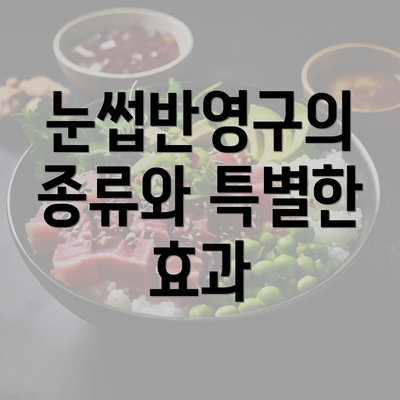 눈썹반영구의 종류와 특별한 효과