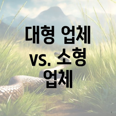 대형 업체 vs. 소형 업체