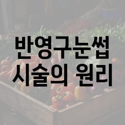 반영구눈썹 시술의 원리