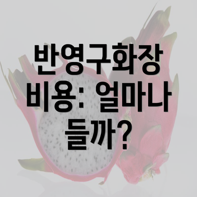 반영구화장 비용: 얼마나 들까?