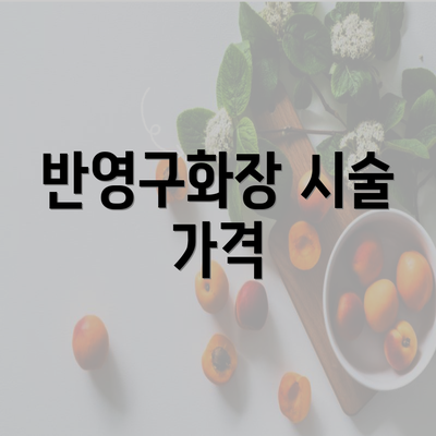 반영구화장 시술 가격