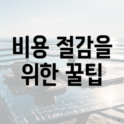 비용 절감을 위한 꿀팁