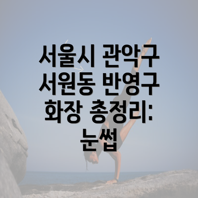 서울시 관악구 서원동 반영구 화장 총정리: 눈썹