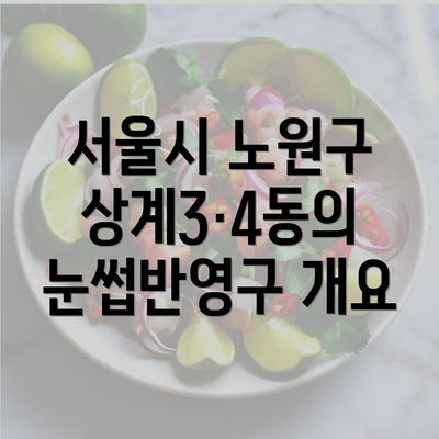 서울시 노원구 상계3·4동의 눈썹반영구 개요