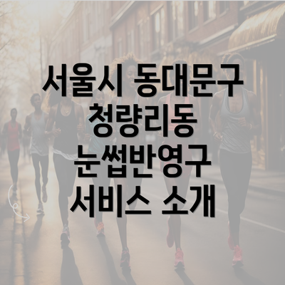 서울시 동대문구 청량리동 눈썹반영구 서비스 소개