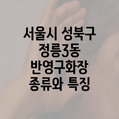 서울시 성북구 정릉3동 반영구화장 종류와 특징