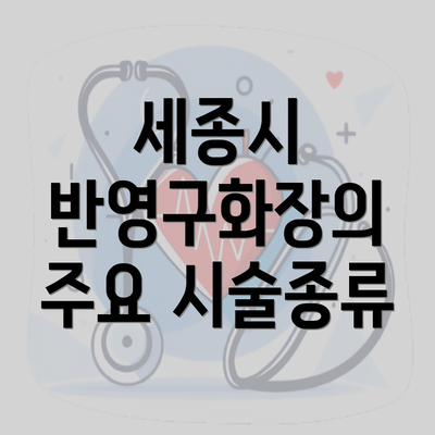 세종시 반영구화장의 주요 시술종류