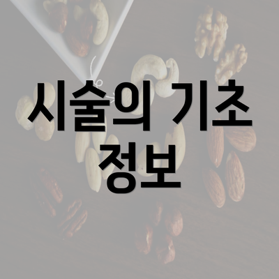 시술의 기초 정보