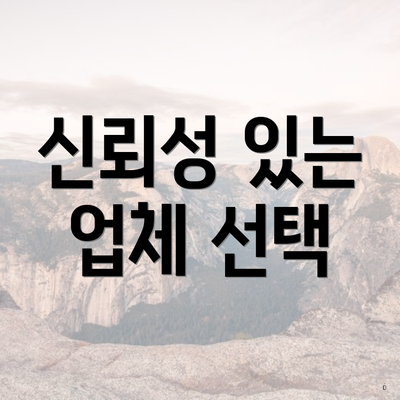 신뢰성 있는 업체 선택