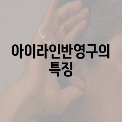 아이라인반영구의 특징