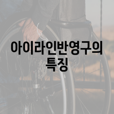 아이라인반영구의 특징