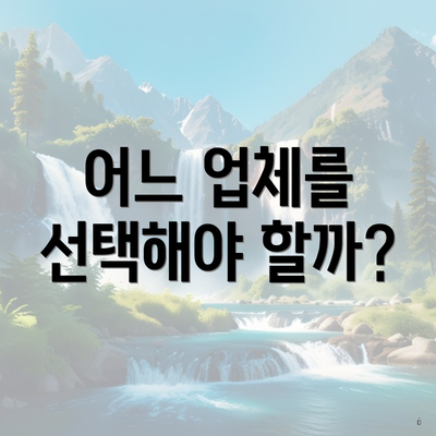 어느 업체를 선택해야 할까?