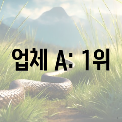 업체 A: 1위