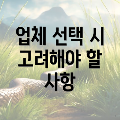 업체 선택 시 고려해야 할 사항