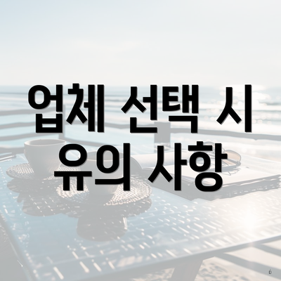 업체 선택 시 유의 사항