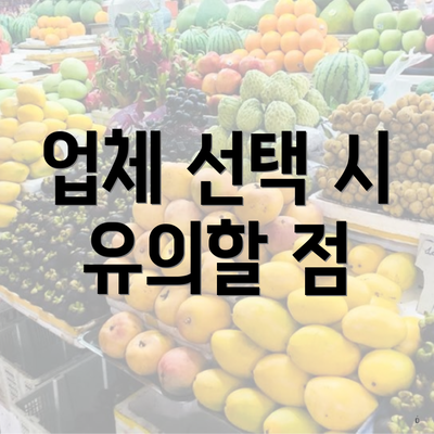 업체 선택 시 유의할 점