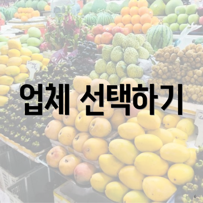 업체 선택하기