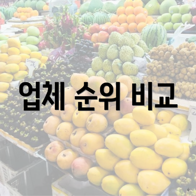 업체 순위 비교