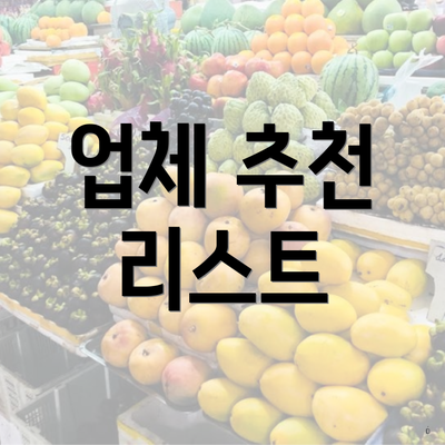 업체 추천 리스트