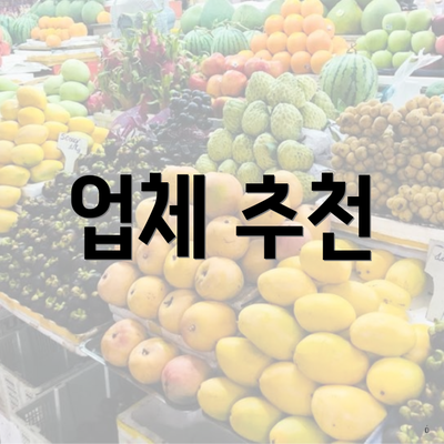 업체 추천