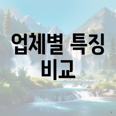 업체별 특징 비교