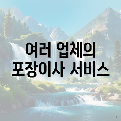 여러 업체의 포장이사 서비스