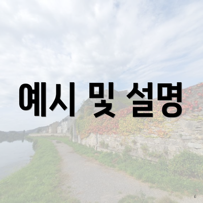 예시 및 설명