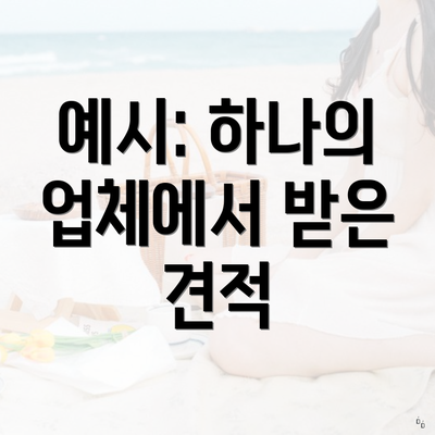 예시: 하나의 업체에서 받은 견적