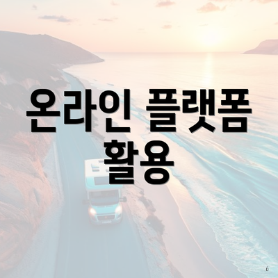 온라인 플랫폼 활용