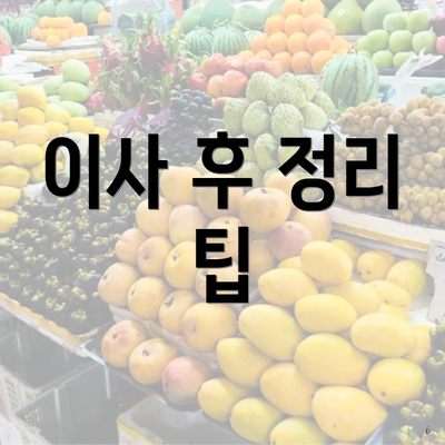 이사 후 정리 팁