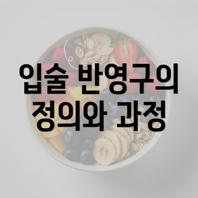 입술 반영구의 정의와 과정