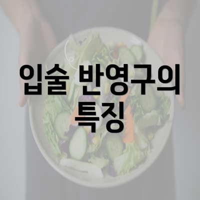 입술 반영구의 특징