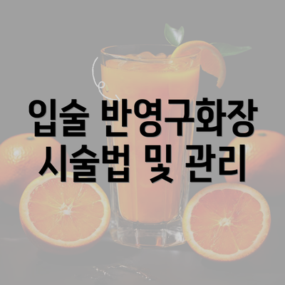 입술 반영구화장 시술법 및 관리