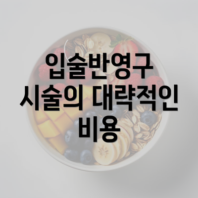 입술반영구 시술의 대략적인 비용