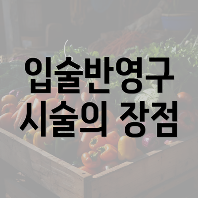 입술반영구 시술의 장점