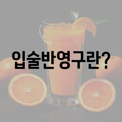 입술반영구란?