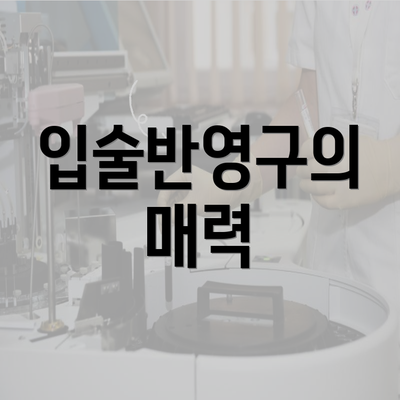 입술반영구의 매력