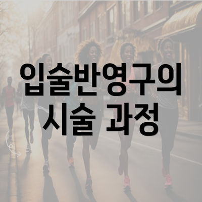 입술반영구의 시술 과정