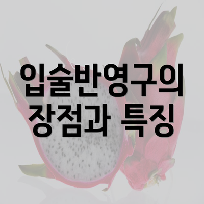 입술반영구의 장점과 특징