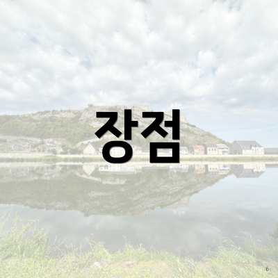 장점