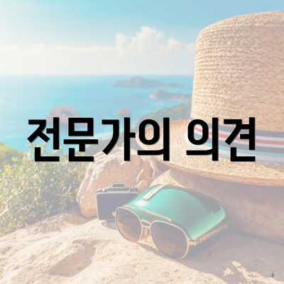 전문가의 의견