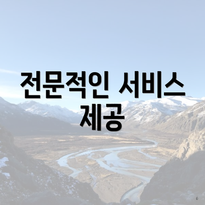 전문적인 서비스 제공