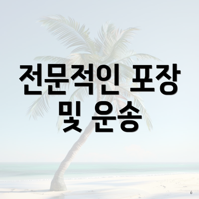 전문적인 포장 및 운송