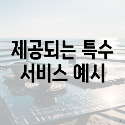 제공되는 특수 서비스 예시