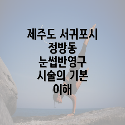 제주도 서귀포시 정방동 눈썹반영구 시술의 기본 이해