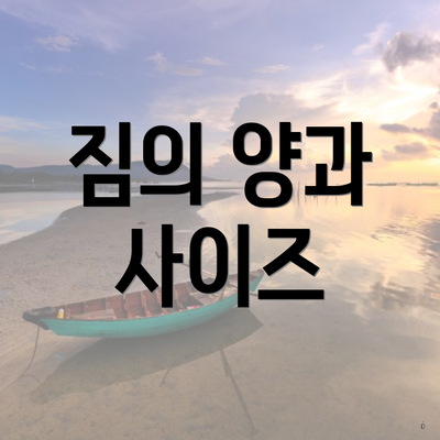 짐의 양과 사이즈