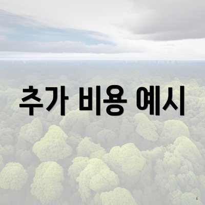 추가 비용 예시