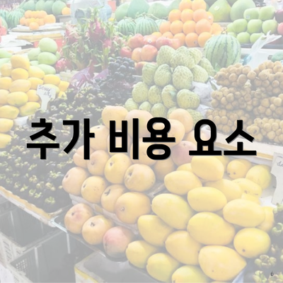 추가 비용 요소