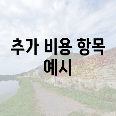 추가 비용 항목 예시